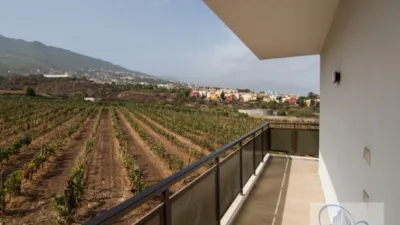 Rustic Finca in Barranco Hondo photo 27