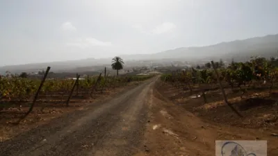 Rustic Finca in Barranco Hondo photo 42