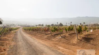 Rustic Finca in Barranco Hondo photo 40