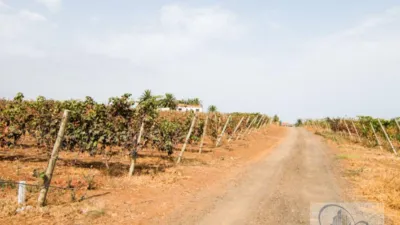 Rustic Finca in Barranco Hondo photo 43