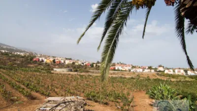 Rustic Finca in Barranco Hondo photo 30