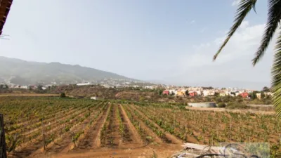 Rustic Finca in Barranco Hondo photo 36
