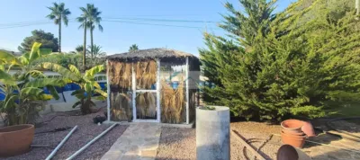 Chalet in Campillo photo 13