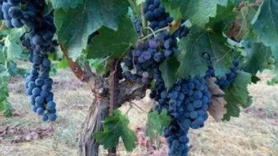 Rustic Finca in El Valle photo 13
