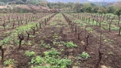Rustic Finca in El Valle photo 4