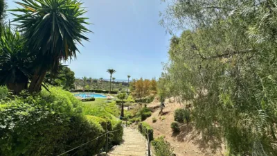 Apartment in Terrazas del Sol photo 24
