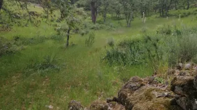 Rustic Finca in Sierra de Gata photo 8