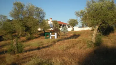 House on El Berrial Street photo 29