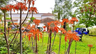 Casa rústica en Sierra Norte de Sevilla photo 30