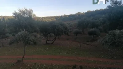House in Sierra de San Pedro photo 9