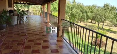 Chalet in Sierra de Gata photo 29