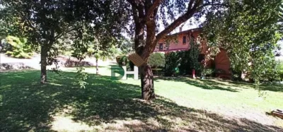Chalet in Sierra de Gata photo 35