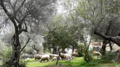 Casa rústica en Sierra Norte de Sevilla photo 34
