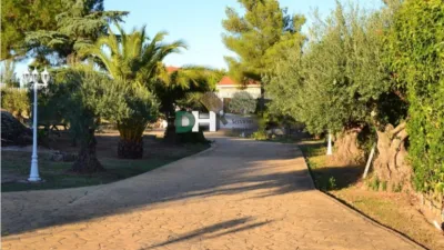Chalet in Las Arenas photo 54