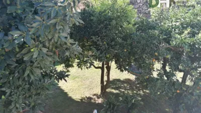 Casa en Ex-203 photo 19