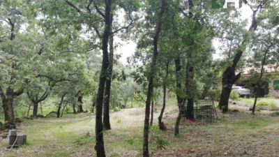 Rustic Finca in Sierra de Gata photo 12