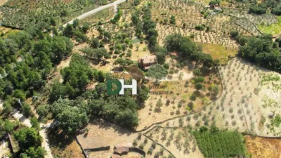 Chalet in Sierra de Gata photo 34