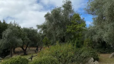 Casa rústica en Sierra Norte de Sevilla photo 35
