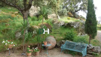 House in Cáceres photo 31