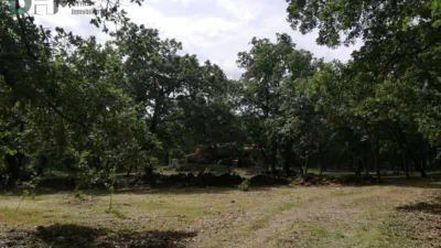 Rustic Finca in Sierra de Gata photo 10