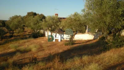 House on El Berrial Street photo 27