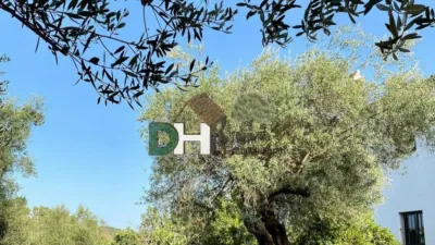 Casa rústica en Sierra Norte de Sevilla photo 27