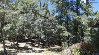 Rustic Finca in Sierra de Gata photo 11