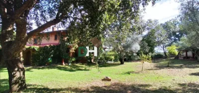 Chalet in Sierra de Gata photo 38