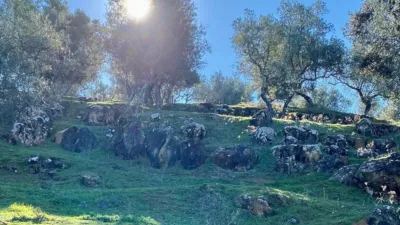 Casa rústica en Sierra Norte de Sevilla photo 37