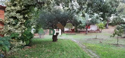 Chalet in Sierra de Gata photo 36