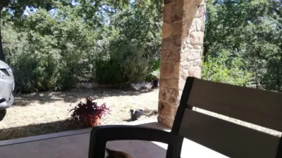 Rustic Finca in Sierra de Gata photo 4