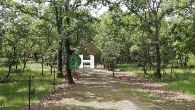 Rustic Finca in Sierra de Gata photo 5