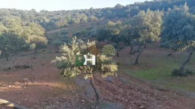 House in Sierra de San Pedro photo 8