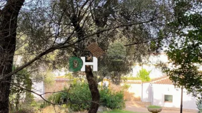 Casa rústica en Sierra Norte de Sevilla photo 33