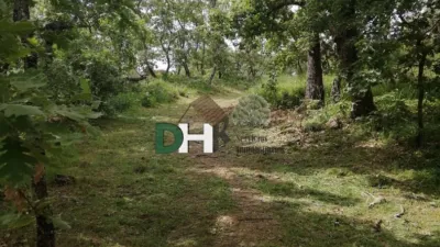 Rustic Finca in Sierra de Gata photo 6