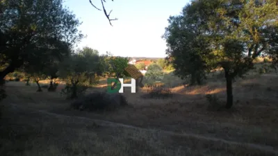 House on El Berrial Street photo 30