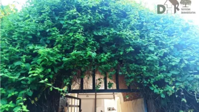 House in Valle del Jerte photo 12