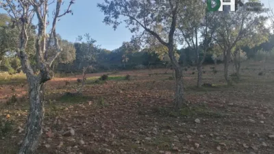 House in Sierra de San Pedro photo 11