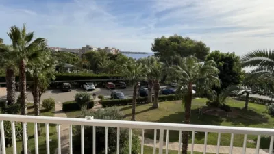 Pis – Orihuela, Mil Palmeras - Vista 2