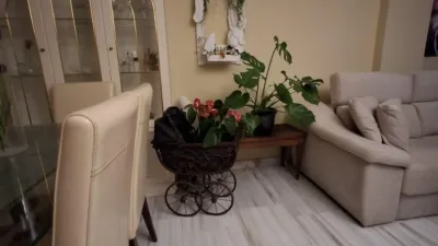 Apartamento en Parque Botánico photo 9