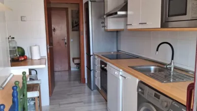 Apartamento en Parque Botánico photo 11