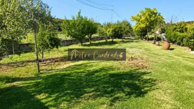 Rustic Finca in Alcuescar photo 8
