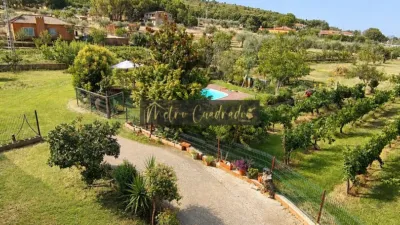 Rustic Finca in Alcuescar photo 4