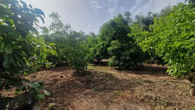 Rustic farm in Centro photo 32