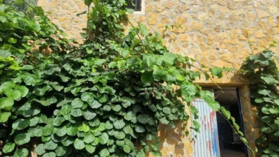 Rustic farm in Centro photo 9