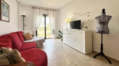 Pis – Orihuela - Vista 4