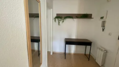 Apartment in El Pilar photo 4