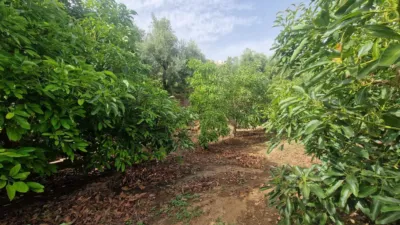 Rustic farm in Centro photo 31