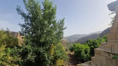 Rustic farm in Centro photo 29