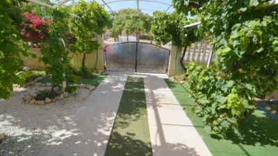 Apartment in Lomas de Cabo Roig photo 20